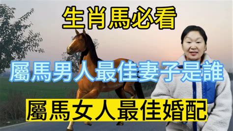 屬馬人|屬馬，屬馬性格，屬馬婚配，屬馬運程